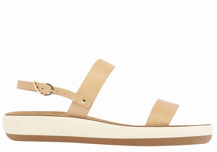 Sandales Casual Ancient Greek Sandals Clio Comfort   | WNB-8261709